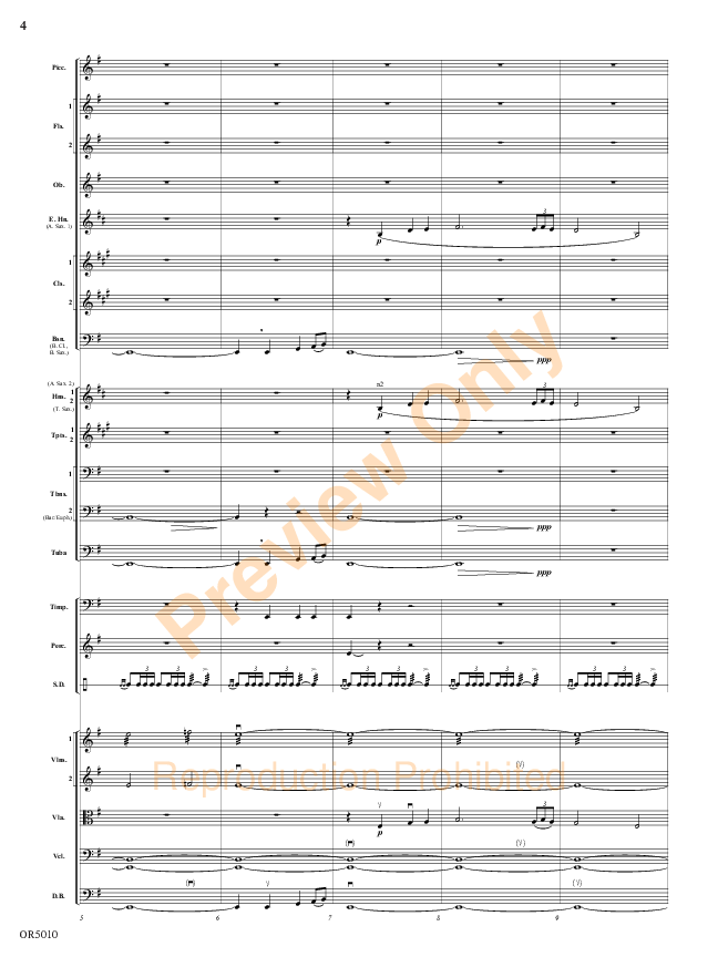 Sample 4