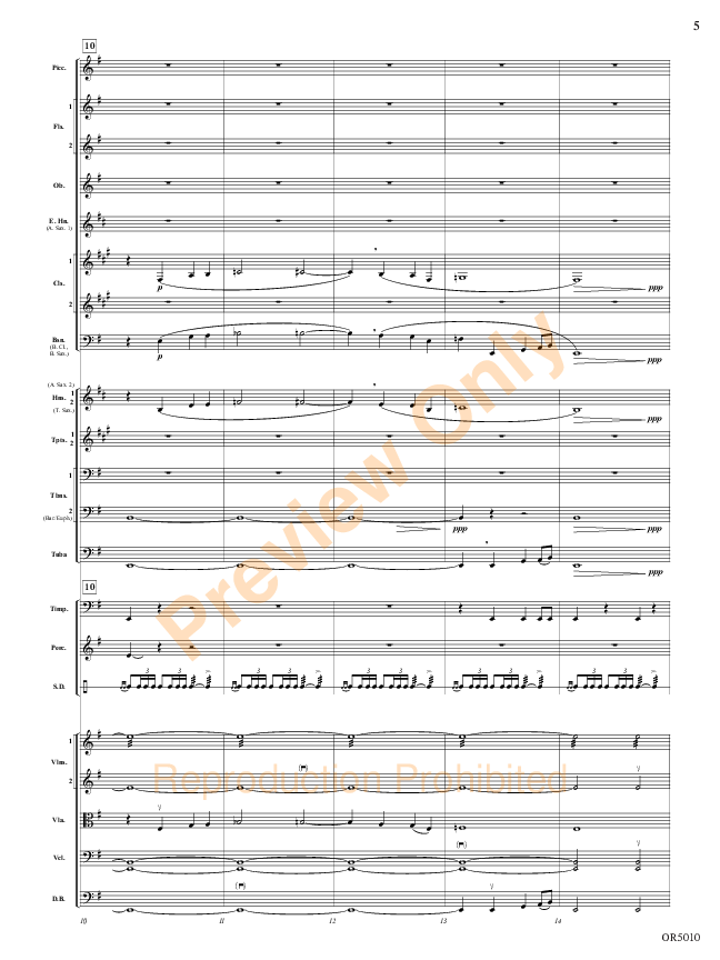 Sample 5