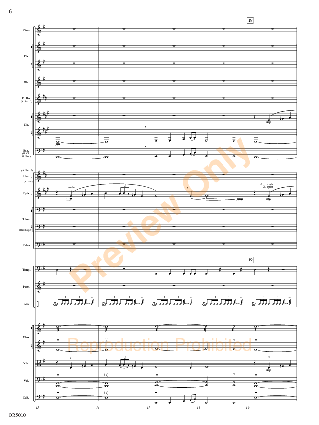Sample 6