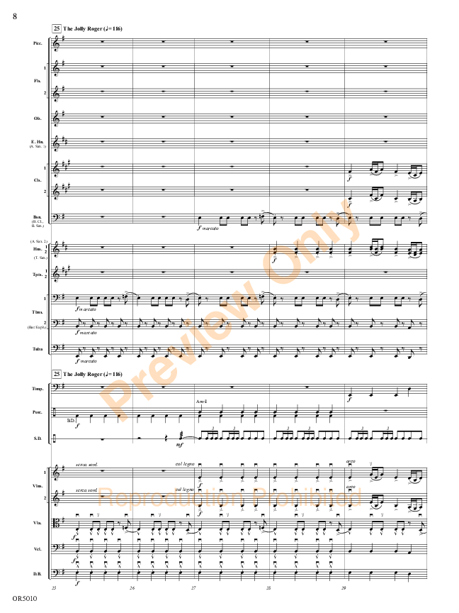 Sample 8