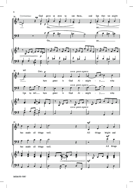 Sample 6